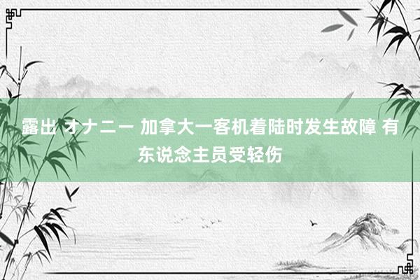 露出 オナニー 加拿大一客机着陆时发生故障 有东说念主员受轻伤