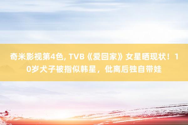 奇米影视第4色， TVB《爱回家》女星晒现状！10岁犬子被指似韩星，仳离后独自带娃