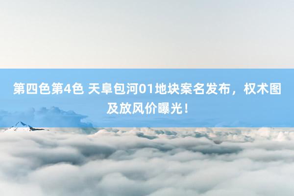 第四色第4色 天阜包河01地块案名发布，权术图及放风价曝光！