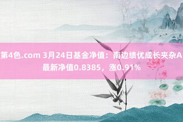 第4色.com 3月24日基金净值：南边绩优成长夹杂A最新净值0.8385，涨0.91%